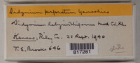 Image Associated With the Occurence